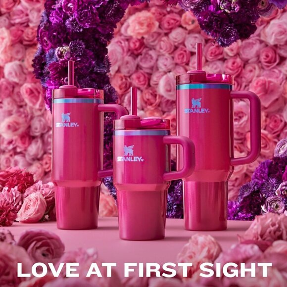 STANLEY Berry Truffle 20 oz Valentine's Day Tumbler NEW Limited Edition SOLD OUT - Picture 15 of 15